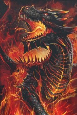 "Draconis" Long-sleeve Shirt Black By Spiral -Fashionable Men's Clothing Store 452453d