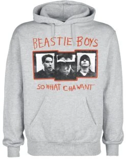 "So Watcha Want" Hooded Sweater Grey By Beastie Boys