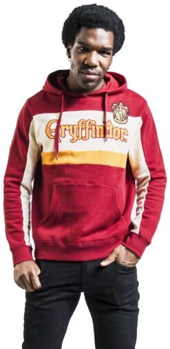 "Gryffindor" Hooded Sweater Multicolour By Harry Potter -Fashionable Men's Clothing Store 536859wa