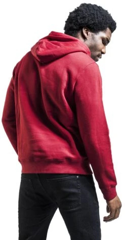 "Gryffindor" Hooded Sweater Multicolour By Harry Potter -Fashionable Men's Clothing Store 536859wb